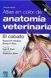 PDF Atlas en Color de Anatomia Veterinaria. El Caballo del autor Raymond Ashdown
