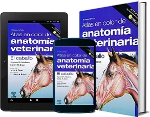 Descarga Atlas en Color de Anatomia Veterinaria. El Caballo para iPhone/iPad/Kindle