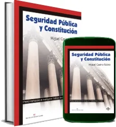 Leer «Seguridad Pública y Constitución» descarga PDF