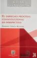 PDF Derecho Procesal Constitucional del autor Domingo García Belaunde