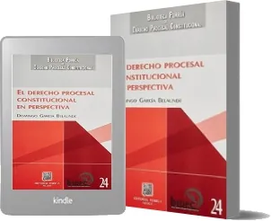 Drive Derecho Procesal Constitucional PDF gratis de la editorial Porrua