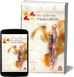Las Cadenas Musculares - Tomo Iii PDF completo gratis + resumen