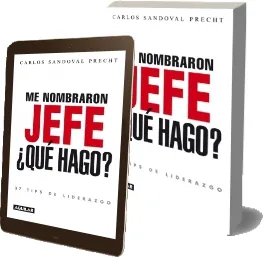 Google Books en PDF: Me Nombraron Jefe, qué Hago. 37 Tips de Liderazgo de Carlos Sandoval Dropbox, Apple iCloud, DelaFil, Filedropper, Microsoft OneDrive, Yandex.Disk, LimeTorrents, MediaFire, MEGA, SendSpace edición 2022 versión completa