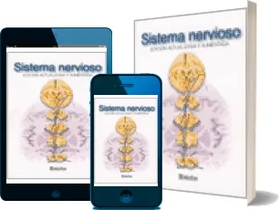 Sistema Nervioso - Miniatlas de Luis Raúl Lepori completo en WORD, CBR, OPF, LIT, WOLF, DOC, TXT, EPUB, PDF, DOCX, XPS - Miniatlas descargar libro
