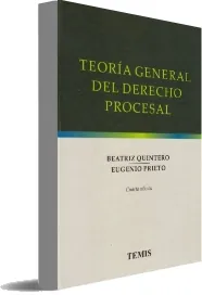 Descargar «Teoría General Del Derecho Procesal» eBook + Resumen | Beatriz y Prieto e Quintero