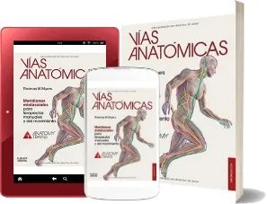 Leer PDF Vias Anatomicas. Meridianos Miofasciales para Terapeutas Manuales y Del Movimiento, 3ra. Ed. gratis - Elsevier Google Drive