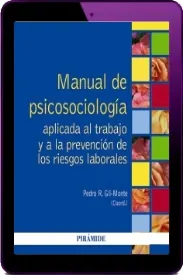 Descargar Manual de Psicosociología Aplicada al Trabajo y a la Prevención de Los Riesgos Laborales libro en PDF