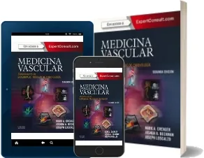 Leer «Medicina Vascular, 2 Edicion» descarga online + eBook