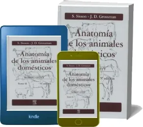 Anatomia de Los Animales Domesticos. Tomo2 PDF resumen Mega