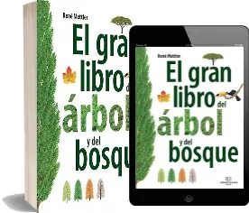 Descargar » «El Gran Libro Del Árbol y Del Bosque» » René Mettler » GRATIS 2022 PDF + eBook