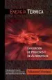 PDF Energía Térmica, Evaluación de Procesos y de Alternativas del autor Pedro Sarmiento
