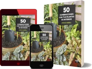 «50 Combinaciones Con Tus Plantas de Interior».PDF Descargar gratis | Steve Asbell 2022 + eBook