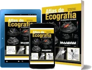 Libro Atlas de Ecografia en Pequeños Animales completo en PDF (GRATIS) 2022
