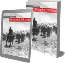 Descargar » «Historia Rural de Chile Central Tomo i. La Construcción Del Valle Central de Chile» » José Bengoa » PDF 2022 + resumen