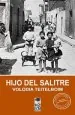PDF Hijo Del Salitre del autor Volodia Teitelboim