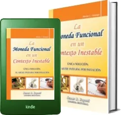 Drive La Moneda Funcional en un Contexto Inestable en digital escrito por Héctor c. Ostengo 292 páginas