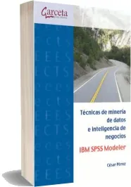Técnicas de Minería de Datos Ibm Spss Modeler descargar en español PDF Mega