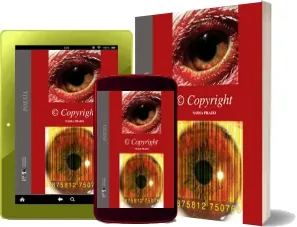 Bajar «Copyright» en PDF o ePub gratis 2022 + resumen