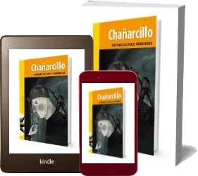 eBook libro Chañarcillo español + resumen