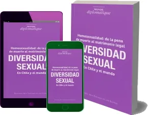 Leer Diversidad Sexual. En Chile y el Mundo PDF gratis sin virus