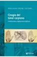 PDF Cirugia Del Tunel Carpiano. Controversias y Aplicaciones Practicas del autor Mariano Socolovsky