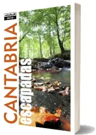 Libro Cantabria leer online PDF