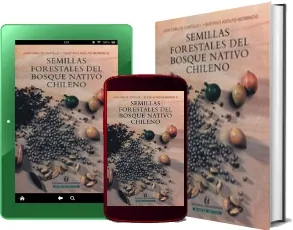 Download Semillas Forestales Del Bosque Nativo Chileno gratis + resumen