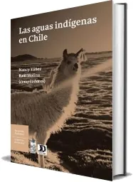 Drive Las Aguas Indígenas en Chile PDF de Nancy Yáñez 276 páginas de la editorial Lom