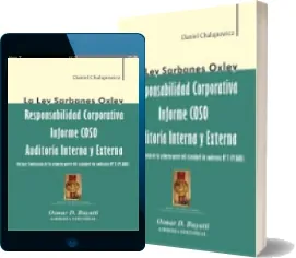 Descargar «Responsabilidad Corporativa, Informe Coso, Auditoría Interna y Externa» en PDF gratis | Daniel Chalupowicz | 2022