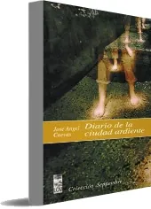 Descargar Diario de la Ciudad Ardiente libro para celular + ePub