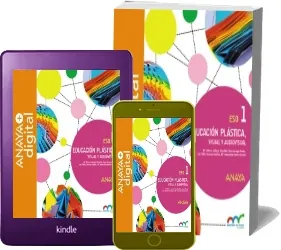 Descargar gratis Educación Plástica, Visual y Audiovisual 1. Eso. Anaya de María Dolores Callejón Chinchilla Libro completo + resumen PDF 11 páginas | ePub Sin registro