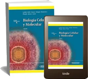 Cómo bajar Biologia Celular y Molecular eBook de Harvey Lodish + resumen