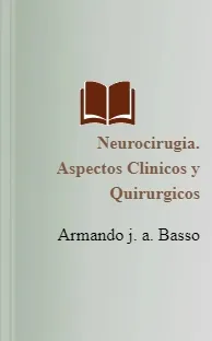 Neurocirugia. Aspectos Clinicos y Quirurgicos Descarga PDF + ePub + resumen