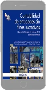 Leer «Contabilidad de Entidades sin Fines Lucrativos» PDF online GRATIS 2022 + resumen