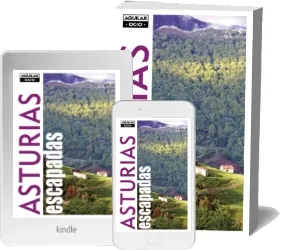 Bajar «Asturias» de Paco Nadal en PDF o ePub 2022 Mega