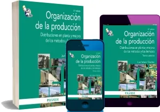 Descarga online Organización de la Producción gratis + resumen
