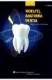 PDF Woelfel. Anatomia Dental del autor Rikne c. Scheid