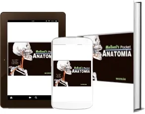 Melloni- Secretos de Anatomia (PDF) gratis | June Melloni 2022