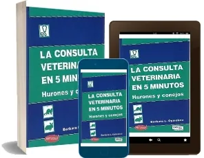 La Consulta Veterinaria en 5 Minutos: Hurones y Conejos Libro gratis PDF + ePub MEGA