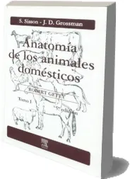 Anatomia de Los Animales Domesticos. Tomo1 [PDF] RESUMEN | S. Sisson 2022