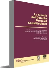 La Ciencia Del Derecho Procesal Constitucional resumen completo online
