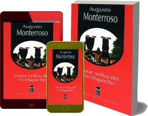 Descarga Llorar Orillas Del río Mapocho gratuita + resumen