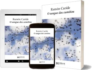 Descargar libro O Sangue Dos Camiños de Ramón Caride