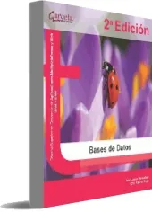 Libro Bases de Datos online PDF