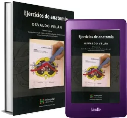 Descarga Ejercicios de Anatomia en PDF gratis + resumen