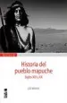 PDF Historia Del Pueblo Mapuche Siglos Xix y xx del autor José Bengoa