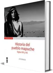 PDF » Historia Del Pueblo Mapuche Siglos Xix y xx » José Bengoa año 2022 + resumen