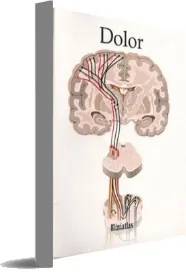Descargar Dolor - Miniatlas PDF | Luis Lepori + resumen