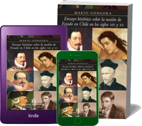 Libro Ensayo Histórico sobre la Noción de Estado en Chile en Los Siglos Xix y xx en español online + resumen
