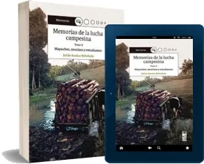 Memorias de la Lucha Campesina. Tomo ii: Mapuches, Mestizos y Estudiantes Descargar actualizado + ePub